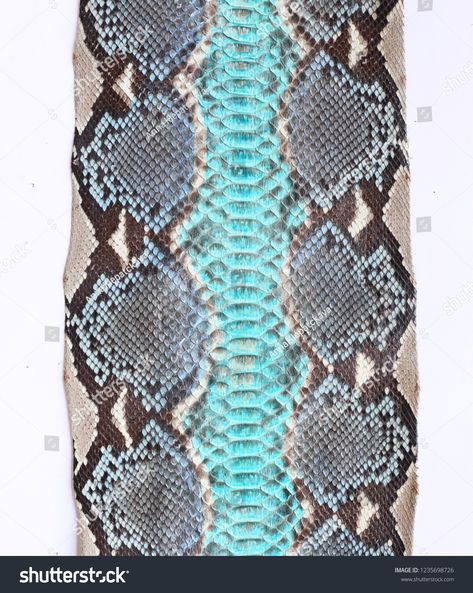 Snake skin texture python on white background #Ad , #ad, #texture#skin#Snake#background Snake Background, Snake Skin Texture, White Python, Texture Skin, Python Skin, Skin Texture, Social Media Business, Python, Snake Skin