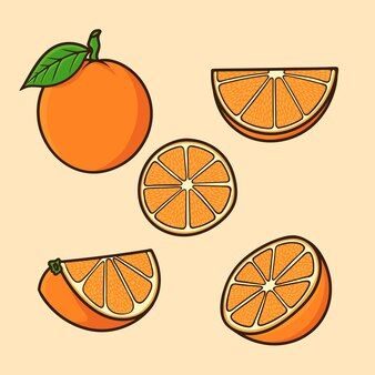 Orange Fruit Cartoon, Fruit Doodle, Lemon Background, Fruit Sketch, Section Drawing, Fruit Cartoon, Sticker Inspiration, Fruits Drawing, Fruit Vector