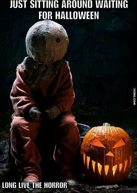 30 Hilarious Memes about Halloween | QuotesHumor.com Outdoor Halloween Parties, Halloween Decorations To Make, Scary Halloween Decorations Outdoor, Sam Trick R Treat, Halloween Diy Outdoor, Halloween Decorations Diy Outdoor, Hallowen Costume, Trick R Treat, Halloween Prop