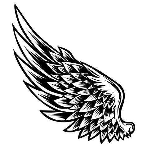 Wings bird black white 555 Royalty Free Vector Image Angel Wings Tattoo Stencil, Wings Bird, Angel Vector, Wings Png, African Tattoo, Rose Tattoos For Women, Free Tattoo Designs, Wing Tattoo Designs, Angel Wings Tattoo