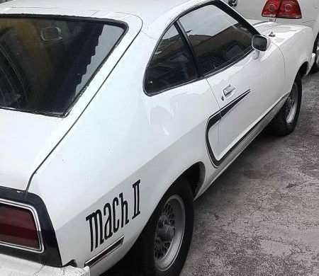 1976 Ford Mustang, Jeep Srt8, Horse Home, Pet Project, Ford Pinto, Mustang Ii, Ford Cars, Grand Rapids Michigan, Animal Projects