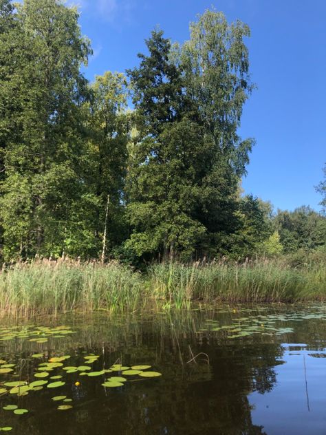 Wetlands Photography, Clan Ideas, Crawdads Sing, Magical Landscape, Landscape Reference, Environment Reference, Environmental Art, Some Pictures, Mother Nature