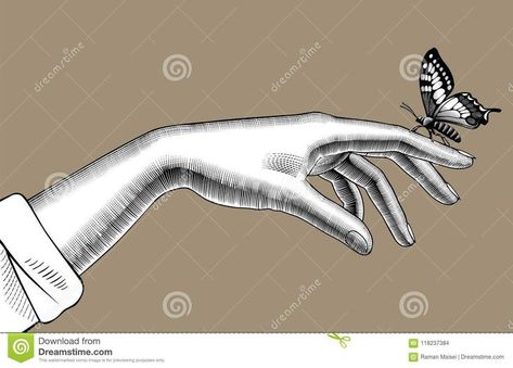 Hand With A Butterfly, Butterfly On Finger, Stylized Drawing, Butterfly Sitting, How To Draw Fingers, Book Templates, Woman Hand, Pretty Butterfly, Drawing Vector