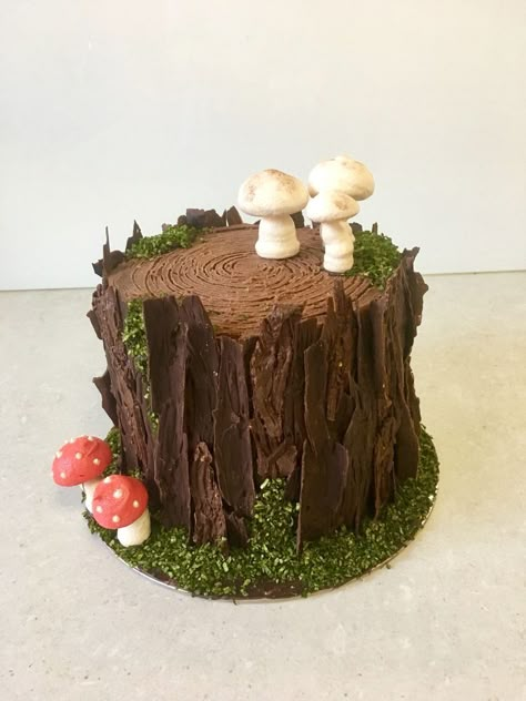 Cake With Mushrooms, Cake Mushroom, Woodland Theme Cake, Mushroom Cupcakes, Mushroom Cake, Enchanted Forest Party, Cake With Strawberry, Chocolate Strawberry Cake, Woodland Cake