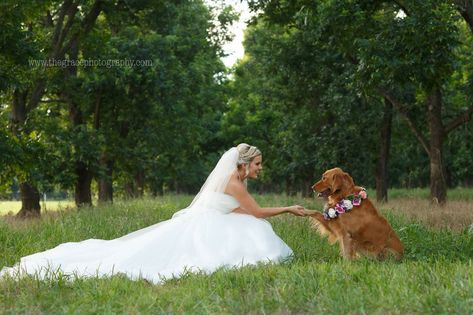 Moodboard Wedding, Country Bride, Bridal Pictures, Wedding Pets, Braut Make-up, Veil Hairstyles, Shabby Chic Wedding, Dog Wedding, Pet Hacks