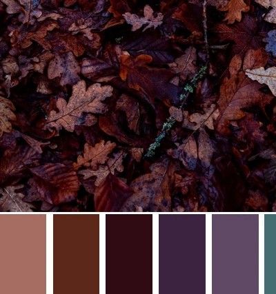 Dark Purple Bedroom Walls, Plum Color Palettes, Dark Purple Color Palette, Dark Purple Bedroom, Purple Bedroom Walls, Bronze Color Palette, Plum Color Palette, Purple Living Room Ideas, Purple Room Aesthetic