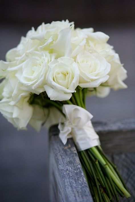 North Carolina Wedding by Libby McGowan Photography | The Lovely Find White Wedding Flower Arrangements, Bouquet Of White Roses, White Rose Wedding Bouquet, White Rose Bouquet, White Roses Wedding, Rose Bridal Bouquet, Bridal Bouquet Flowers, Rose Wedding Bouquet, White Wedding Flowers