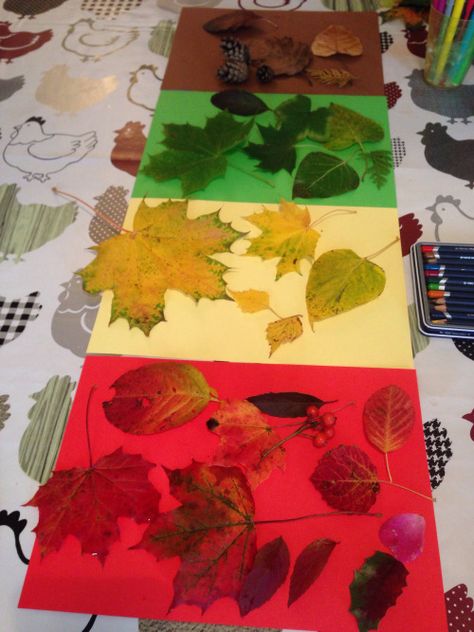 classer les feuilles d'automne par couleur Autumn Eyfs Activities, Autumn Eyfs, Forest School Activities, Fall Preschool Activities, Eyfs Activities, Fall Arts And Crafts, Nursery Activities, Autumn Activities For Kids, Fall Preschool