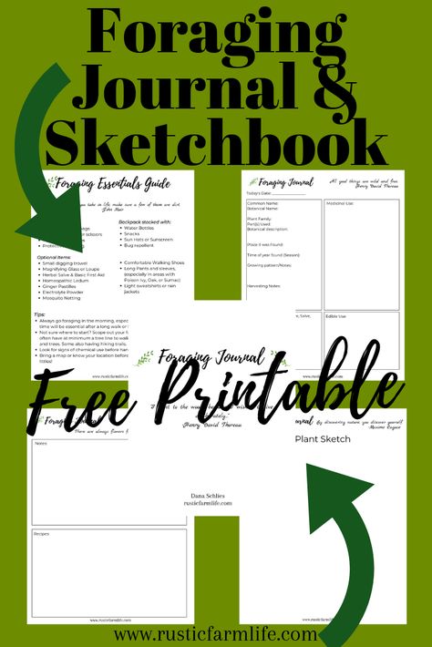 What every hiker, plant geek, or hobby botanist needs is a journal and sketchbook, preferably one that will gather all of your information, plant drawings, and leave space for all of your extra notes. This FREE download will do just that and then some! Collect all of your drawings, info, plus recipes, and more in this foraging journal and sketchbook. Instant Download #foraging #printable Herbal Journal Printable, Foraging Journal Ideas, Foraging Notebook, Foraging Crafts, Herbal Notebook, Foraging Journal, Seed Journal, Mushroom Project, Homeschool Worksheets Free