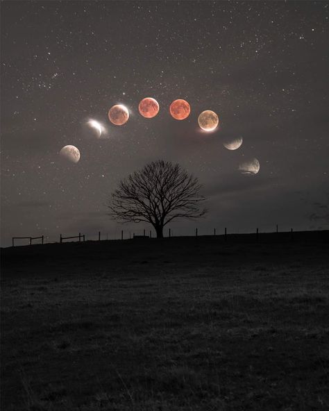 My best Lunar Eclipse shot from 2018! Moon Eclipse, Moon Photography, Phone Wallpaper Patterns, Lunar Eclipse, Pink Moon, Coven, Handsome Anime Guys, Handsome Anime, Astronomy