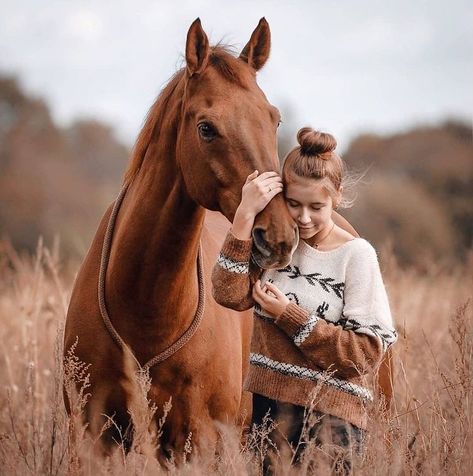 Diy Horse Decor, Horse Drawings Easy, Horse Wallpaper For Laptop, Senior Horse Photography, Horse Portrait Photography, Horse Doodle, Horse Drawing Tutorial, Rider Photography, Sarah Stone