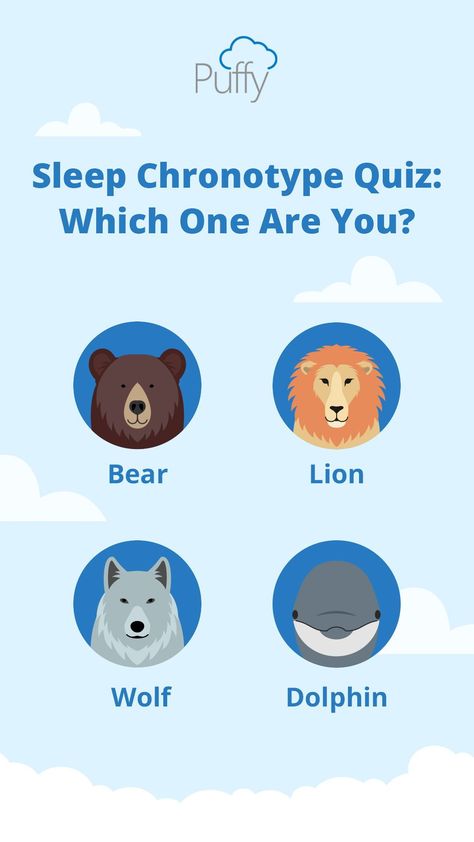 Bear Chronotype Schedule, Wolf Chronotype Schedule, Chronotype Wolf, Dolphin Chronotype Schedule, Lion Chronotype, Wolf Chronotype, Dolphin Chronotype, Bear Chronotype, Chronotype Quiz