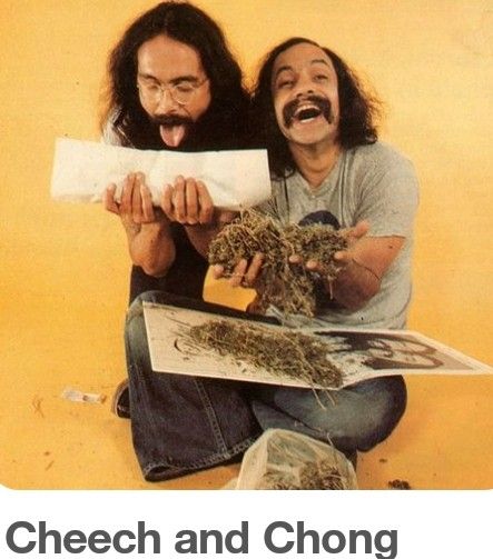 Trailer Park Boys, Cheech And Chong, Wake And Bake, Good Neighbor, Current Mood, Cursed Child Book, Children Book Cover, Beach Bum, Bob Marley