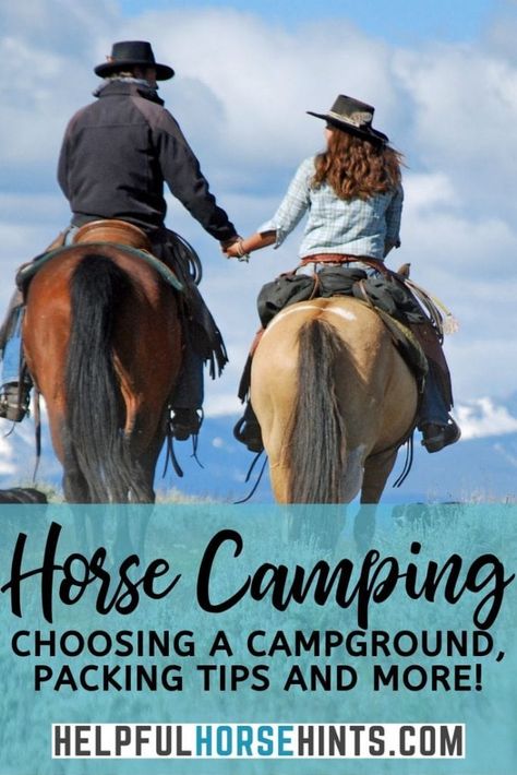 Horse Needs, Horse Vacations, Horse Packing, Horse Camping, Horse Trails, Homesteading Animals, Horse Information, Riding Tips, Trail Ride