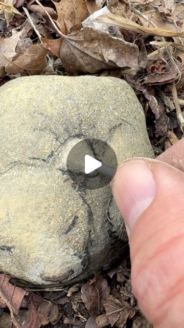 David Zinn on Instagram: "The emergence of Daisy, who plans to keep napping 'til the seedlings nudge her awake. #StreetArtEverywhere #RockGarden #ChalkArt #pebble #puppy #pareidolia" David Zinn, Dry Well, Chalk Art, Rock Garden, Daisy, Horses, Puppies, How To Plan, Drawings