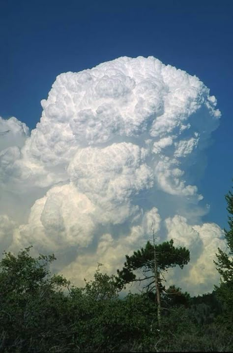 Cumulonimbus Clouds Cool Clouds, Cumulonimbus Cloud, Love Clouds, Weather Cloud, Cumulus Clouds, Cloud Formations, Wild Weather, Theme Nature, Clouds Photography