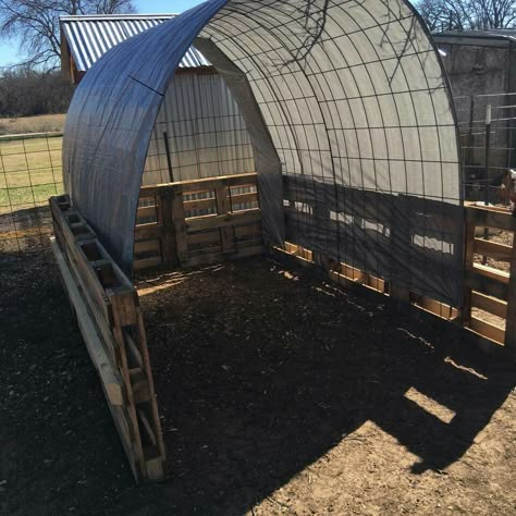 Horse Shavings Storage Ideas, Pony Enclosure, Cow Shelter Ideas, Goat Ideas, Horse Shed, Goat Shelter, Hay Storage, Livestock Shelter, Horse Farm Ideas