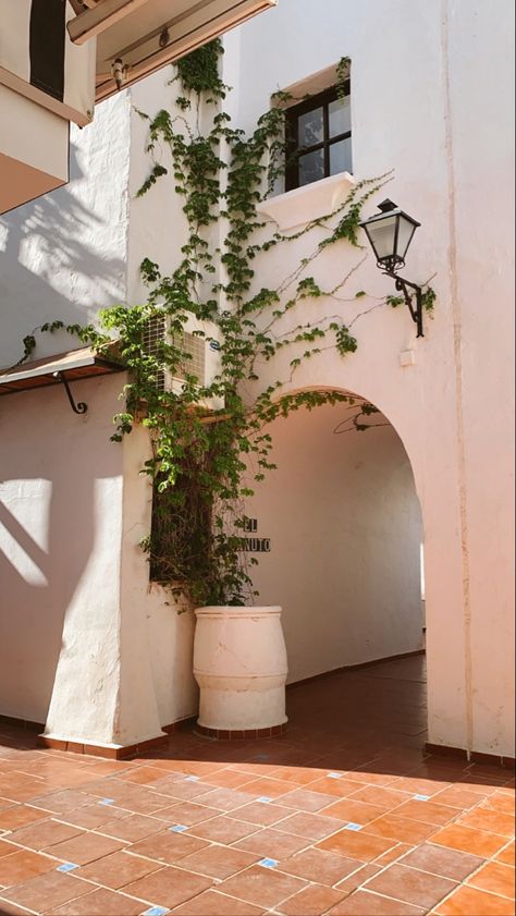 i love the climbing ivy/arch style walkway in our apartment complex. Ivy On House Exterior, Ivy Tree, Courtyard Plants, Vertical Forest, Climbing Ivy, Climber Plants, Night Cafe, Arch Building, Ivy Wall