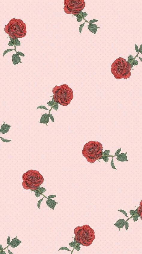 Wall Paper Phone, Color Wallpaper Iphone, Aesthetic Roses, Wallpapers Phone, 背景 シンプル, Wallpaper Tumblr, Pink Wallpaper Iphone, Lock Screens, Iphone Backgrounds