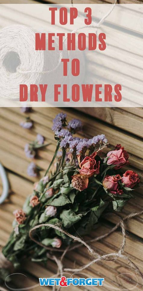 How To Dry Flowers, Dried Flowers Diy, Hyacinth Flowers, Diy Hanging Shelves, Wine Bottle Diy Crafts, Mason Jar Crafts Diy, Wine Bottle Diy, Floating Shelves Diy, Dry Flowers