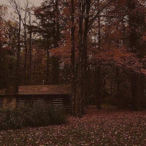 Take Me To The Lakes, Dark Autumn, Dark Paradise, Season Of The Witch, Dark Academia Aesthetic, Best Seasons, Academia Aesthetic, Brown Aesthetic, Autumn Aesthetic