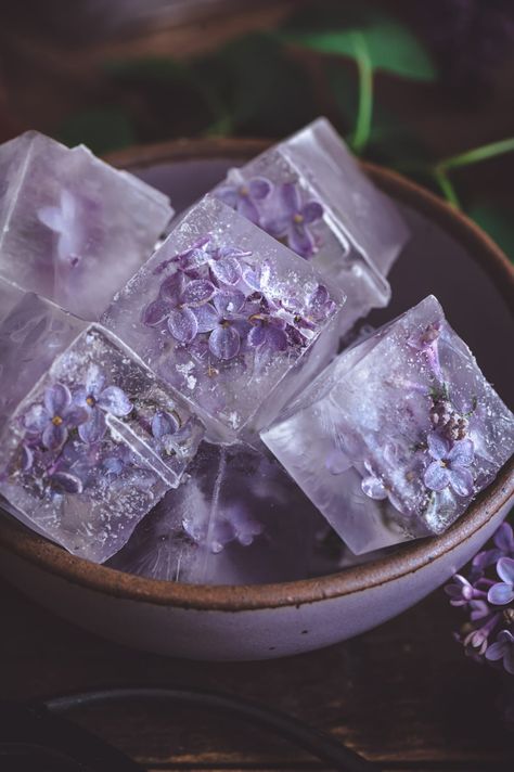 Turn your flowering lilac bushes into a beautiful and delicious Lilac Syrup aka Lilac Cordial to enjoy in summer drinks and cocktails like Lilac Gin Fizz. Pop some lilac flowers into your ice tray, fill with water and freeze to make beautiful flower ice to make your drinks extra special this season! | fareisle.com #lilacsyrup#lilaccordial#recipe#cocktails#drinks#summerdrinks#edibleflowers#lilac#cottagecore#drinkrecipe#cocktailrecipe#foodphotography#foodstyling Lila Party, Gin Fizz Cocktail, Raspberry Scones, Flower Ice, Simple Syrup Recipes, Lavender Aesthetic, Gin Fizz, Wild Blueberries, Organic Sugar