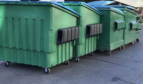 Garbage Dumpster, Dumpster Diver, Dumpster Rental, Dumpster Diving, Dumpsters, Pet Stores, Live Animals, Fort Myers Florida, Waste Management