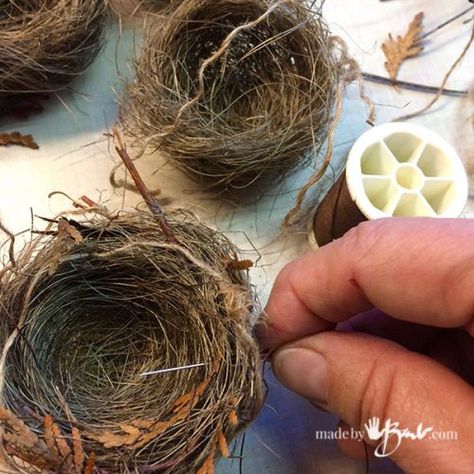 Bird Nest Craft, Diy Easter Eggs, Birds Nests, Bird Nests, Creative Diy Gifts, Diy Birds, Glass Cloche, Bird Crafts, Gold Diy