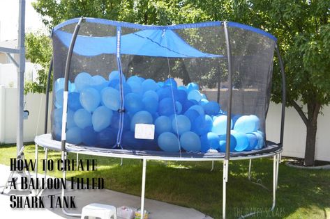 You won't believe how easy it is to create a Balloon Filled Shark Tank for a… Dollar Tree Shark Party, Pirate Shark Birthday Party, Shark Birthday Party Ideas, Shark Party Ideas, Dolphin Party, Selamat Hari Jadi, Shark Themed Birthday, Shark Themed Birthday Party, Baby Shark Birthday