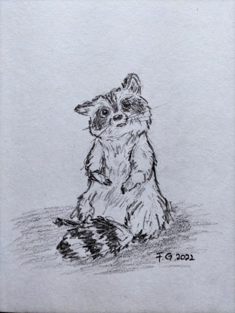 Forest Animal Sketches, Raccoon Painting Easy, Raccoon Drawing Reference, Cute Raccoon Drawing Simple, Realism Art Pencil Sketches, Animal Drawings Colored Pencil, How To Draw Raccoon, Black Bear Sketch, Animal Drawings Sketches Pencil