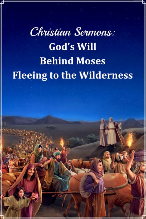 Before Moses led the Israelites out of Egypt, he was a shepherd in the Midian wilderness for 40 years. Why did God have Moses wander in the wilderness for four decades before making use of him? What was God’s will behind this? #God's_will #the_work_of_the_Holy_Spirit #Knowing_God #God_Lead_us #Knowing God’s Will  #what is the will of god #Bible  #Bible_study #bible_teachings #Bible_devotions Moses In The Wilderness, Christian Daily Devotional, God Bible, The Will Of God, Belief In God, Bible Study Help, Will Of God, Daily Bible Reading, Bible Lessons For Kids