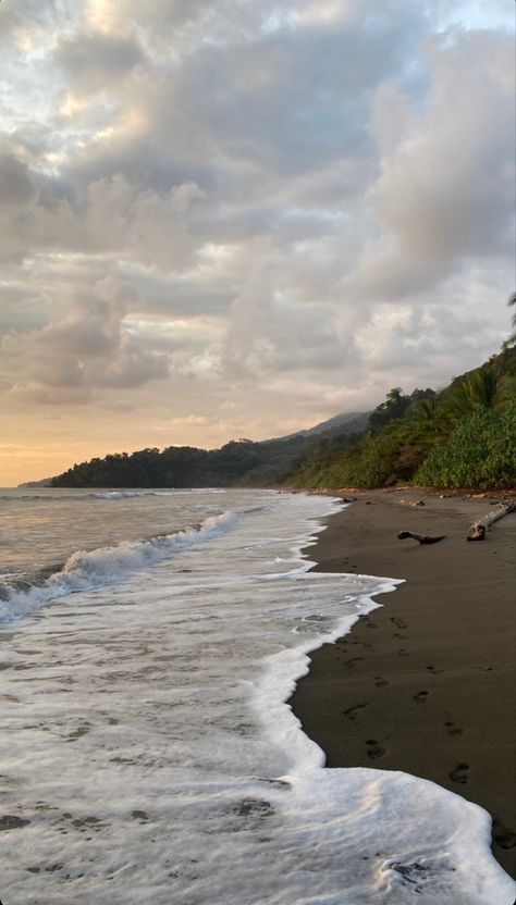 Forest Ocean Aesthetic, Beach With Forest, Ocean Forest Aesthetic, Forest And Beach Aesthetic, Wild Beach Aesthetic, Forest Beach Aesthetic, Forest Meets Ocean, Beach Forest Aesthetic, Private Beach Aesthetic