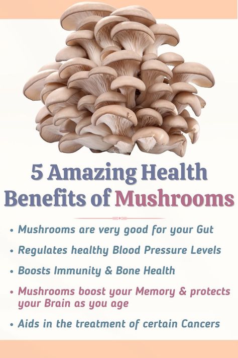 5 Amazing Health Benefits of Mushrooms Different Types Of Mushrooms, Benefits Of Mushrooms, Types Of Mushrooms, Health Benefits Of Mushrooms, Mushroom Benefits, Mushroom Cultivation, Button Mushroom, Oyster Mushroom, Button Mushrooms