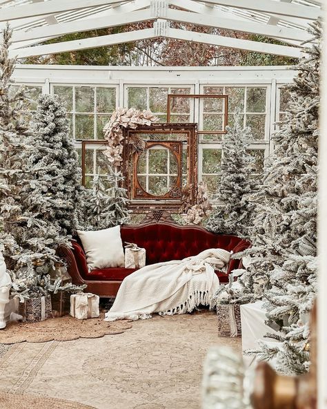 Holly Blain • Cozy Cottage and Garden (@rusticwildarrow) • Instagram photos and videos Cottage Garden Winter, Christmas Market Decor, Studio Greenhouse, Christmas Greenhouse, Winter Garden Party, Bell Garland, Greenhouse Ideas, Christmas Pics, Garden Party Decorations