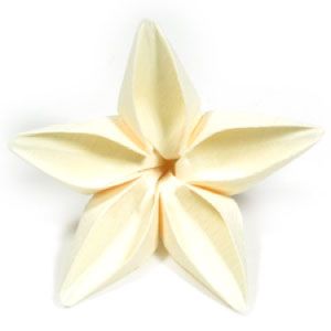 How to make an origami jasmine flower Folded Flowers, Origami Flowers Tutorial, Flowers Origami, Origami Star Box, Flower Origami, Origami Ball, Origami Kusudama, Origami For Beginners, Fabric Origami