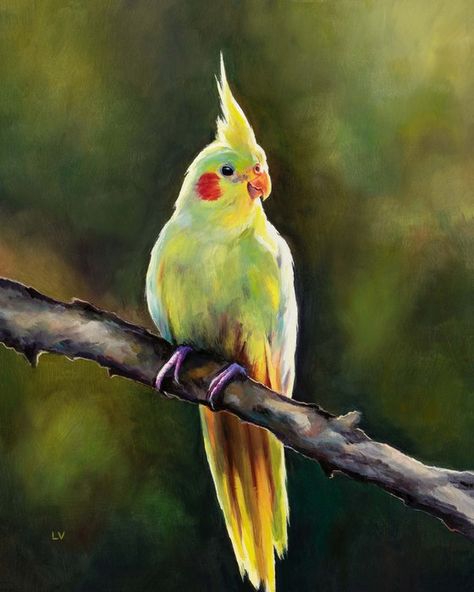 Cockatiel Painting, Bird Painting Ideas, Yellow Cockatiel, Jungle Wildlife, Colorful Beach House, Bird Pet, Jungle Birds, Cute Pikachu, Inspiration Pics