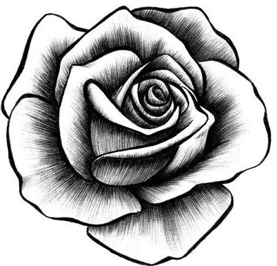 Rose Tattoo Stencil, Simple Rose Tattoo, Drawn Rose, Realistic Rose Tattoo, Rose Flower Tattoos, Rose Drawing Tattoo, Rose Coloring Pages, Shade Roses, Tattoo Shading