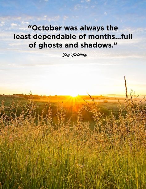 These October quotes are the best way to celebrate fall. #quotes #quotestoliveby #fall #autumn - Last day of the month quotes October Quotes, All The Months, Monthly Quotes, Fall Quotes, Relatable Crush Posts, Believe In Miracles, Autumn Quotes, Lucky Clover, New Quotes