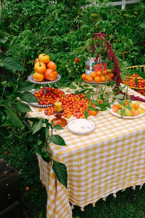 A tomato party styled shoot for a small batch farm to table woman chef Tomato Party Decorations, Italian Picnic Aesthetic, Tomato Centerpiece, Tomato Dinner Party, Spaghetti Party, Tomato Tablescape, Tomato Wedding, Tomato Decor, Tomato Theme Party