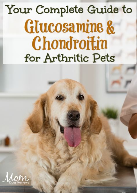 Glucosamine For Dogs, Arthritic Dog, Meds For Dogs, Hypoallergenic Dog Food, Supplements For Dogs, Agility Training For Dogs, Train Your Puppy, Dog Health Tips, Doggie Treats