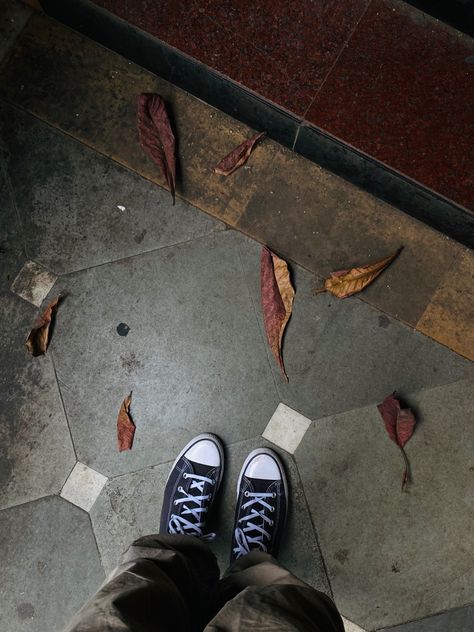 Leafs Aesthetic, Fall Converse, Converse Aesthetic, Autumn Fall, Converse