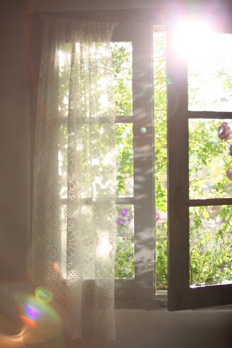 White Fence, Morning Walks, Bright Wallpaper, Aesthetic Light, Childhood Home, Morning Person, Window View, Time Of Day, Spring Aesthetic