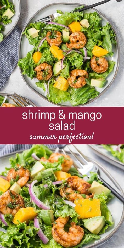 Shrimp Mango Salad Recipes, Shrimp Mango Avocado Salad, Shrimp And Mango Salad, Shrimp And Mango Recipes, Cardiac Recipes, Mango Shrimp Salad, College Dinners, Shrimp Mango, Chef Ramsey