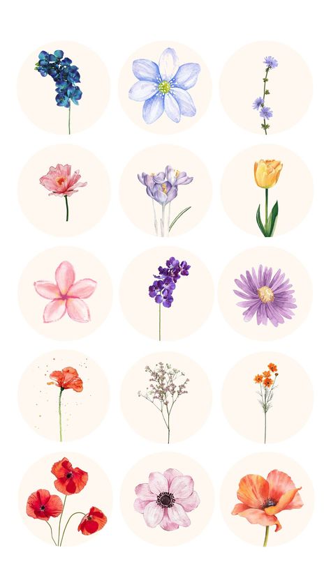 50 Instagram Flower Bouquet Highlight Covers | Botanical Highlight Covers, Boho Instagram Highlight Flowers Highlight Instagram, Flower Feed Instagram, Instagram Highlight Icons Flower, Flower Highlight Covers, Instagram Highlight Covers Flowers, Flower Instagram Highlight Covers, Beauty Highlight Cover, Cute Highlight Covers For Instagram, Floral Highlight Covers