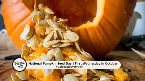 When To Plant Pumpkins, Pumpkin Guts, Cozy Fall Recipes, Healing Recipes, Roasted Pumpkin Seeds, Primal Kitchen, Pumpkin Seed Oil, Primal Recipes, Roast Pumpkin