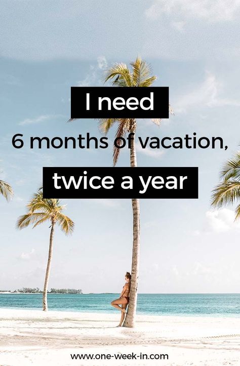 Summer Quotes : QUOTATION – Image : As the quote says – Description Funny quotes – vacation quote #SummerQuotes https://quotesstory.com/daily-quotes/summer-quotes/summer-quotes-funny-quotes-vacation-quote/ Citations Bio Instagram, Quotes John Green, Holiday Quotes Funny, Funny Travel Quotes, Dog Sleep, Photos Bff, Selfie Quotes, Vacation Humor, Funny Travel