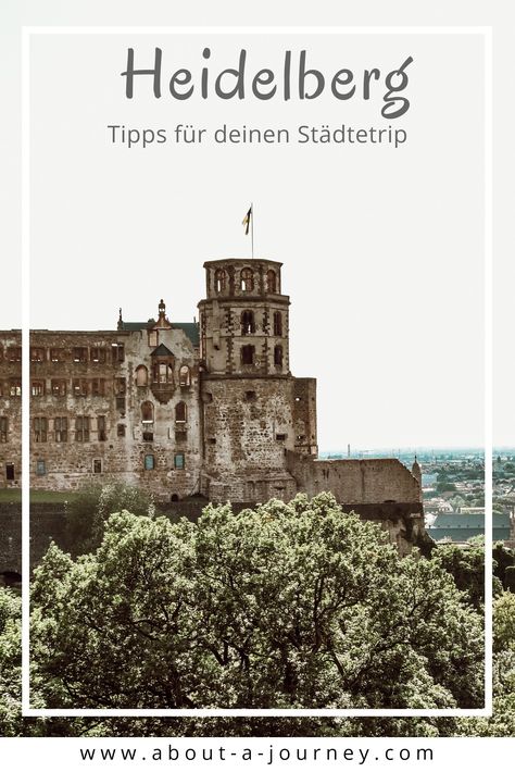 Was musst du in Heidelberg gesehen haben, was kostet ein Wochenende und wo gehst du am besten Essen? Hier sind meine Tipps für dich! Louvre, Building, Travel, Quick Saves