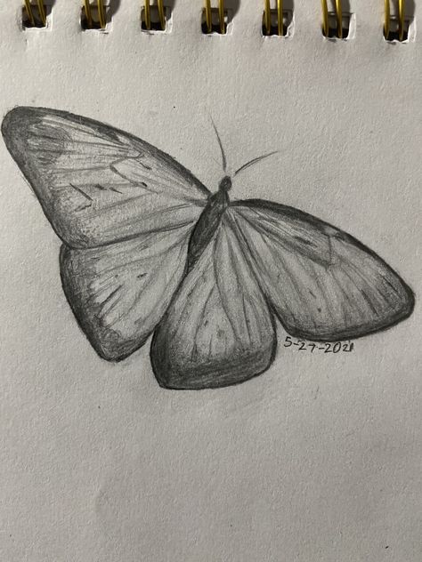 Cute Butterfly Sketch, Butterflies Drawings Easy, Butterflys Flying Drawings, Butterfly Drawing Reference, Art Sketches Butterfly, Buterfluffy Drawings, Butterfly Sketch Ideas, Easy Butterfly Drawing Simple, Butterfly Sketch Easy