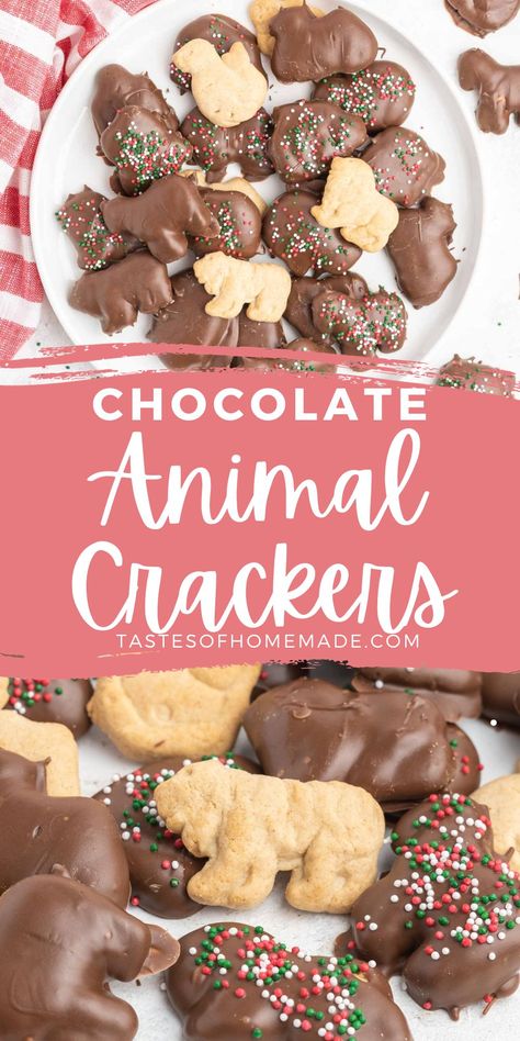 Chocolate Covered Animal Crackers, Animal Crackers Recipe, Chocolate Covered Gummy Bears, Shell Chocolate, Animal Cracker, Chocolate Melting Wafers, Chocolate Covered Treats, Candy Sprinkles, Poke Cakes