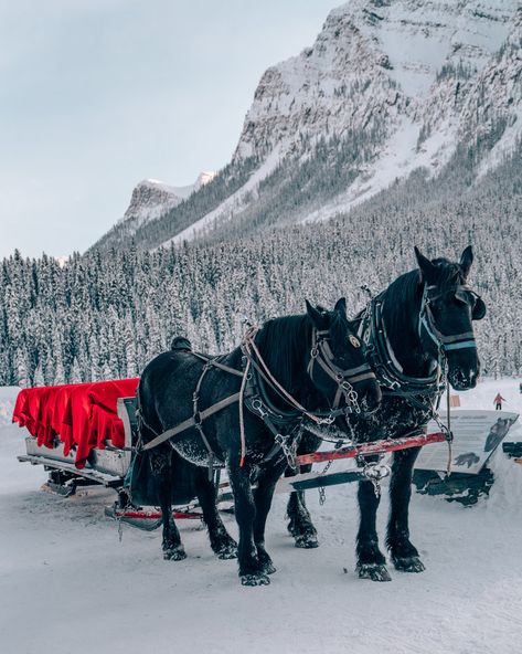 Banff Christmas Aesthetic, Lake Louise Canada Winter, Lake Louise Canada Photography, Fairmont Lake Louise, Lake Louise Canada, Fairmont Banff, Banff Alberta, Fairmont Banff Springs, Fairmont Chateau Lake Louise